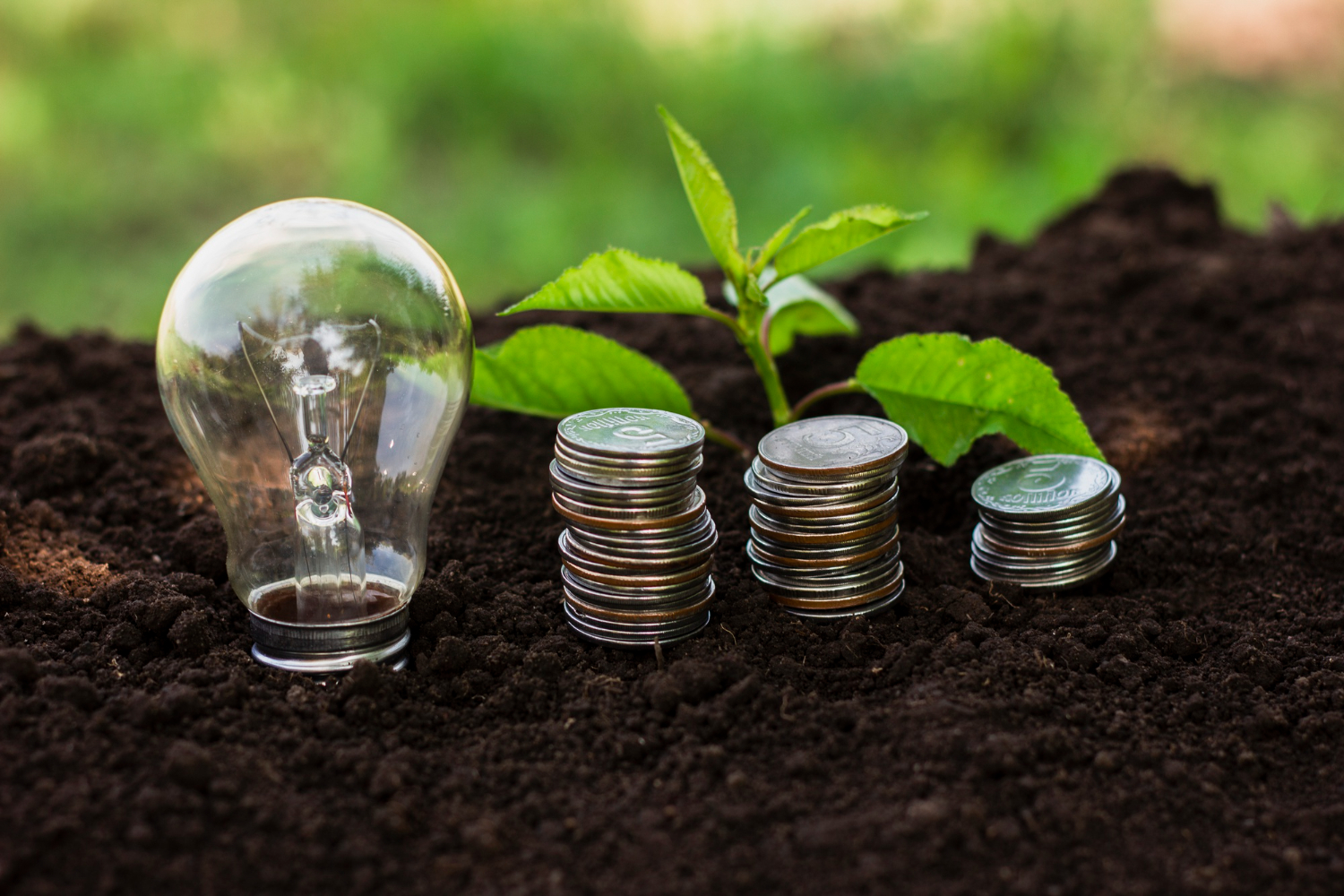 Commercialization of Carbon Credits: Strategies for Sustainable Businesses