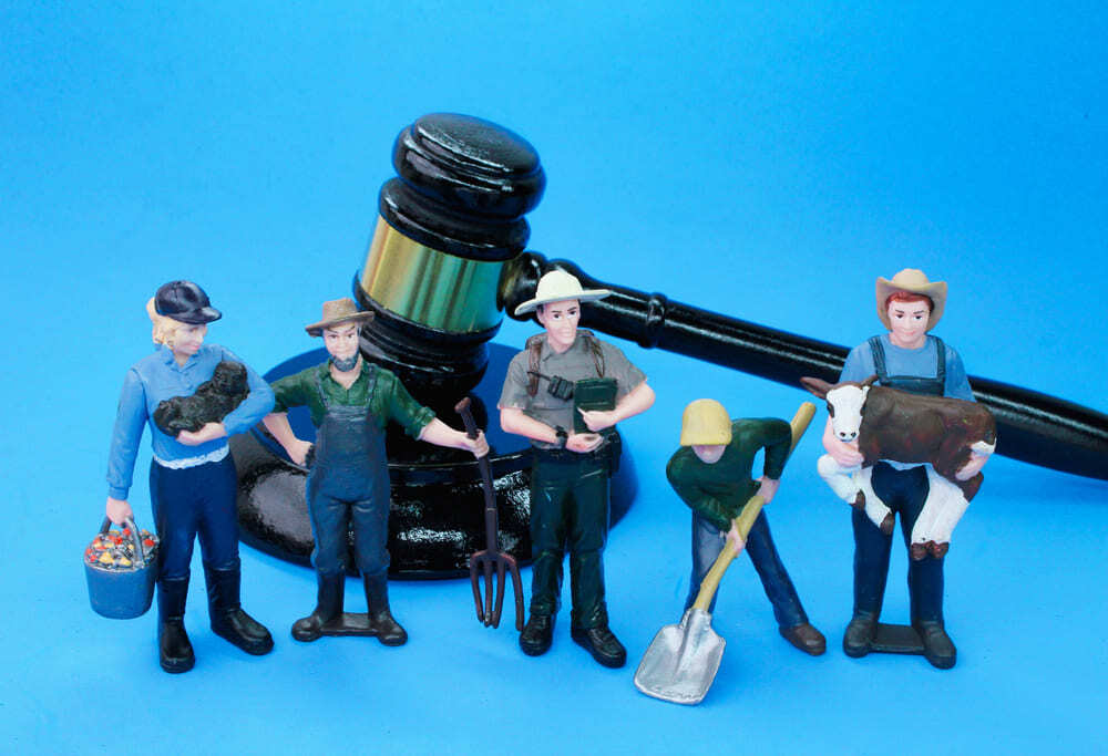 Derechos laborales fundamentales de los trabajadores panameños
